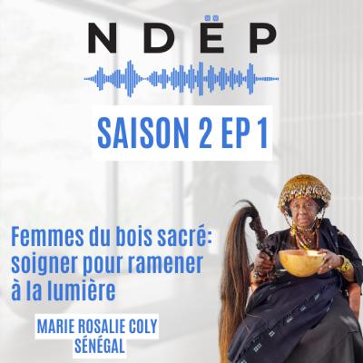 Femmes du bois sacré : soigner pour ramener à la lumière