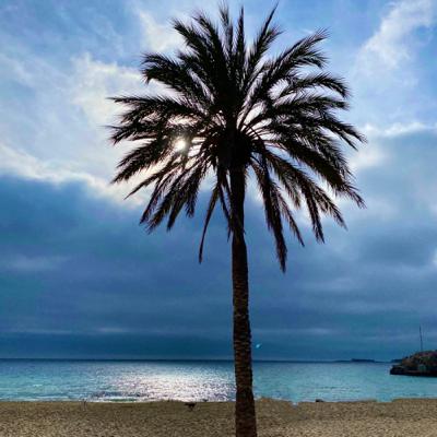 Silvester auf Mallorca - Augen zu, Gedanken aus Silvester auf Mallorca - Augen zu, Gedanken aus