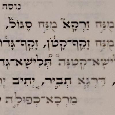 Noach Noach