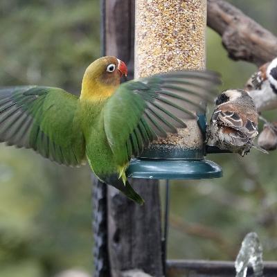 Episode 6: Episode 6: February 2022 sounds of love Episode 6: Episode 6: February 2022 sounds of love