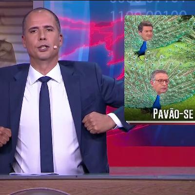Começaram os 397 debates presidenciais para eleger o melhor pavão de Portugal