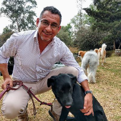 El cliente y sus razones