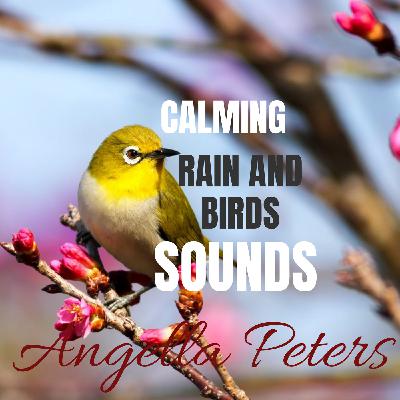 Calming Nature Sounds Rain And Birds Calming Nature Sounds Rain And Birds