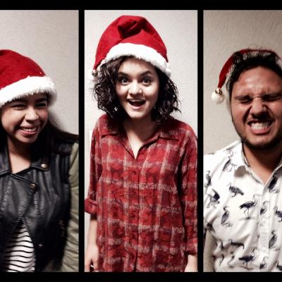 Navidad con Videmia
