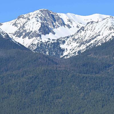 Here's why Trump's promised logging boom faces headwinds