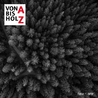 #12 – Wald im Klimawandel