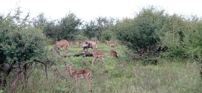 La vie férale : économiser l'énergie et éviter les risques
