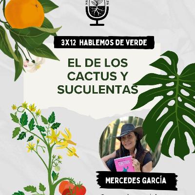 El de los cactus y suculentas | 3x12 | Hablemos de verde El de los cactus y suculentas | 3x12 | Hablemos de verde