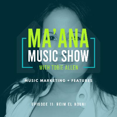 011 The Power of Video for Musicians with Reim El Houni