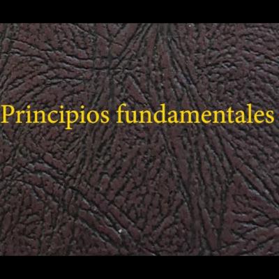 20 - 33 Principios fundamentales 20 - 33 Principios fundamentales