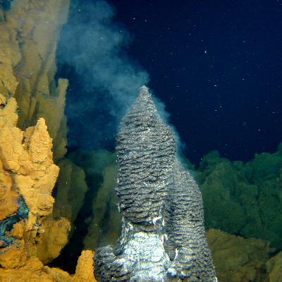Von Tümpeln zu Tiefseevulkanen: Wo entstand das Leben?