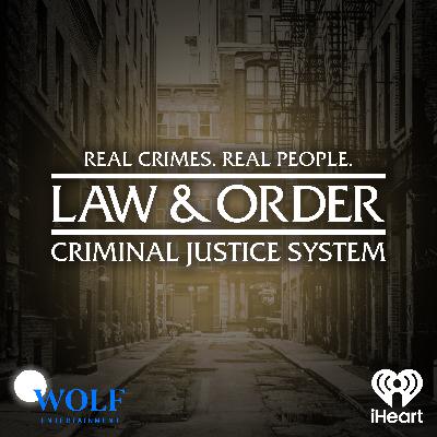Introducing: Law & Order: Criminal Justice System Season 1