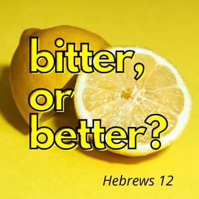 Hebrews 12 - Bitter, or Better?