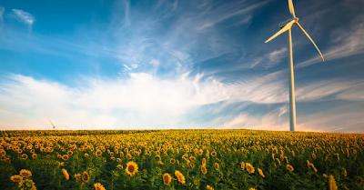 La marcia indietro green