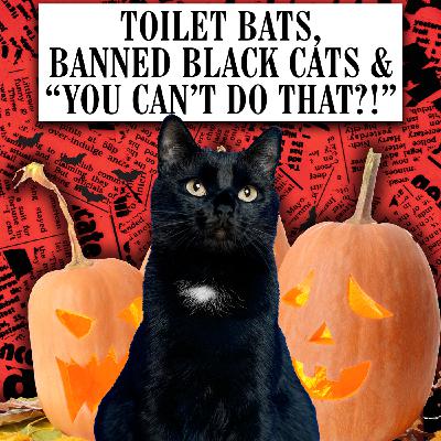 Toilet Bats, Banned Black Cats & "You Can't Do That?!" Toilet Bats, Banned Black Cats & "You Can't Do That?!"