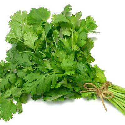 Beneficios por tomar té de cilantro para bajar de peso.