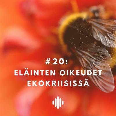 Eläinten oikeudet ekokriisissä