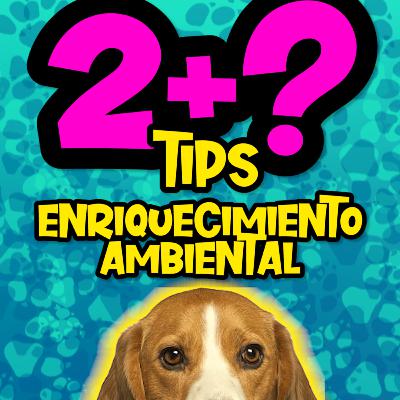 Cap34/ 4Tips Enriquecimiento Ambiental