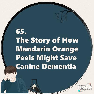 65. The Story of How Mandarin Orange Peels Might Save Canine Dementia