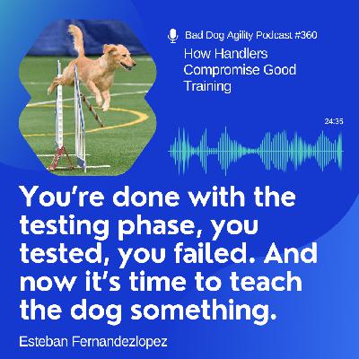 360: How Handlers Compromise Good Training