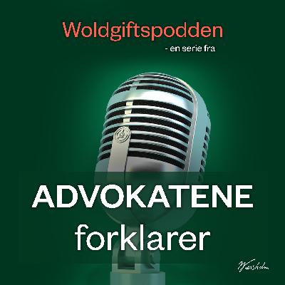 Woldgiftspodden - Episode 1: Er det "marked" for en voldgiftspodcast? Woldgiftspodden - Episode 1: Er det "marked" for en voldgiftspodcast?