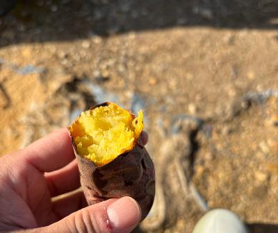 1065.12/5 焼き芋ラン from Radiotalk 1065.12/5 焼き芋ラン from Radiotalk