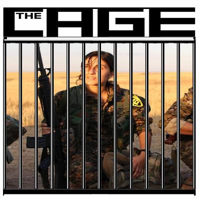 The Patriarchy In The Cage The Patriarchy In The Cage