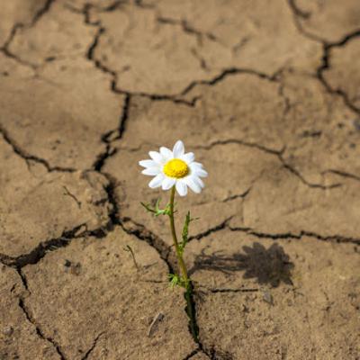 ¿QUE ES RESILENCIA?