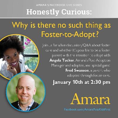 Facebook Live - Honestly Curious about the term "foster-to-adopt"