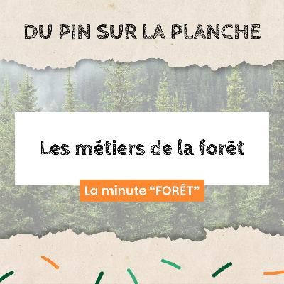 Les métiers de la forêt - Minute Forêt Les métiers de la forêt - Minute Forêt