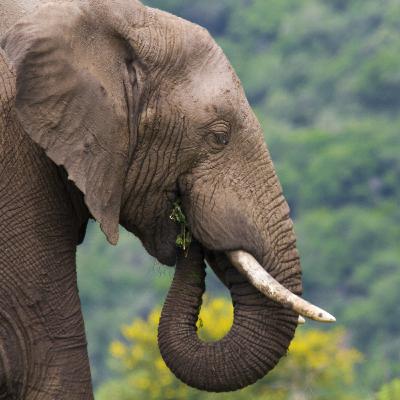 Oba Obatala prayers for abundance, protection and peace of mind