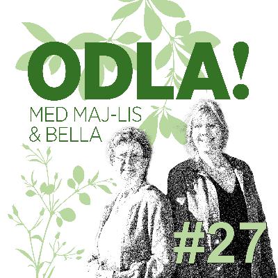 Biodynamisk odling, Lotta Lundgren & ett och annat bubbligt blad