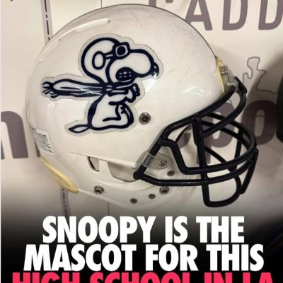 Innovaciones en la NFL, Snoopy como Mascota, Packers y el Número 27 Innovaciones en la NFL, Snoopy como Mascota, Packers y el Número 27
