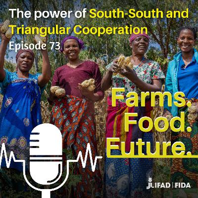 The power of South-South and Triangular Cooperation