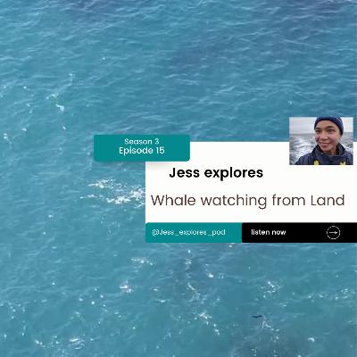 Whale watching from land Whale watching from land