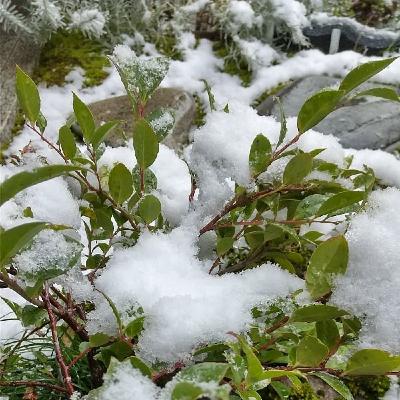 自然を大切に251204