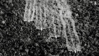 #184 – Agent Orange