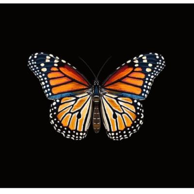 SYMBOLS OF POWER: Monarch Occult Symbolism And Skull & Bones. Taught by Cullen Smith