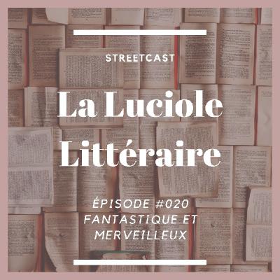 Fantastique et Merveilleux