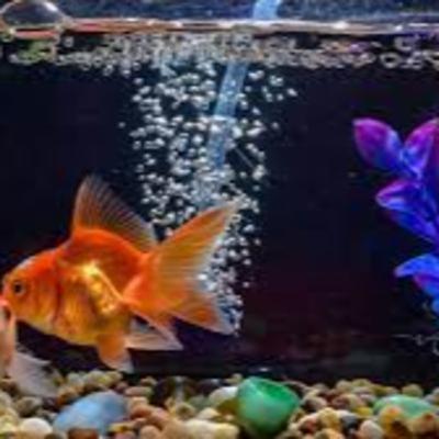 The Worst Pet Possible