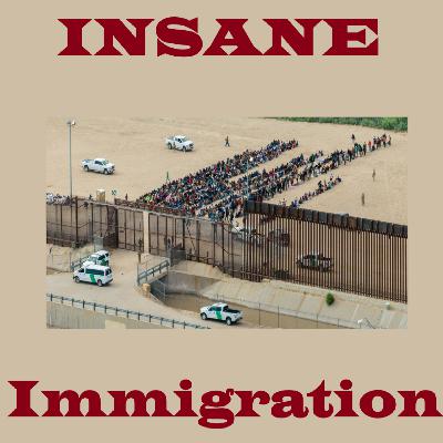 Episode 14: The Immigration Issue and the Christian Interpretation | (VIDEO EPISODE-spotify only)