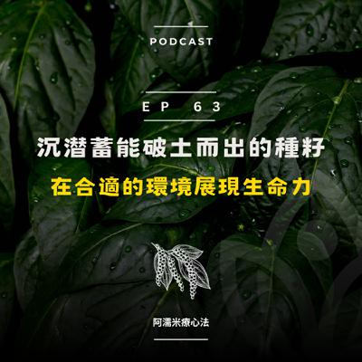 EP 63 植人系列-沉潜蓄能破土而出的種籽，在適合的環境展現生命力