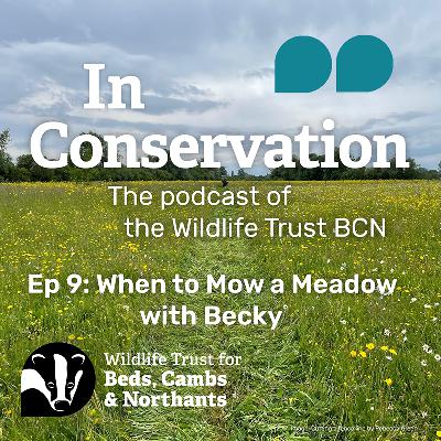 Episode 9: When to Mow a Meadow with Becky