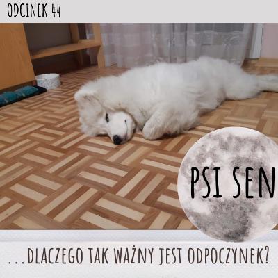 044 - Psi sen - dlaczego tak ważny jest odpoczynek?