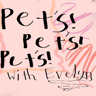 Pet time