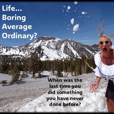 Is Your Life…Boring and Average or Fun and Exciting Is Your Life…Boring and Average or Fun and Exciting