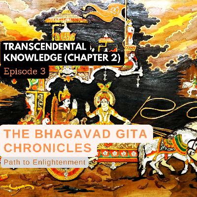 Episode 3: Transcendental Knowledge (Chapter 2) Episode 3: Transcendental Knowledge (Chapter 2)