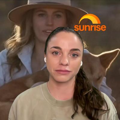 Dingo's hunt for a shark