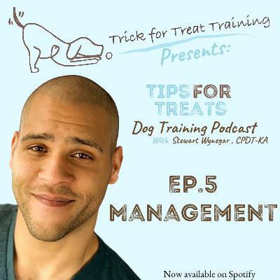 Management Management