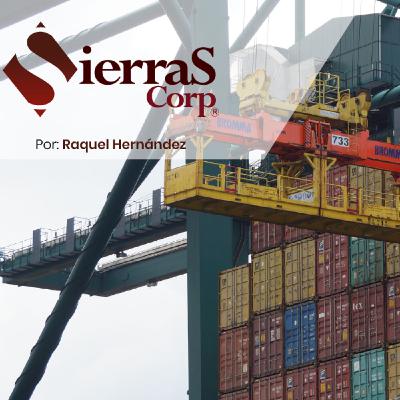 Participación de las comercializadoras en el comercio exterior y su importancia